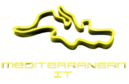 Logo_numérique_méditerranéen_lumineux-removebg-preview